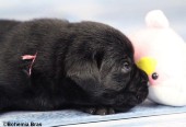 2021_20.02_great_good-look_17d.jpg
