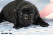 2021_20.02_great_good-look2_17d.jpg